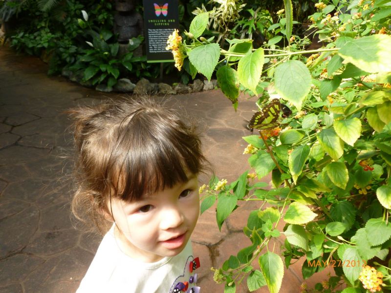 P1010989.jpg