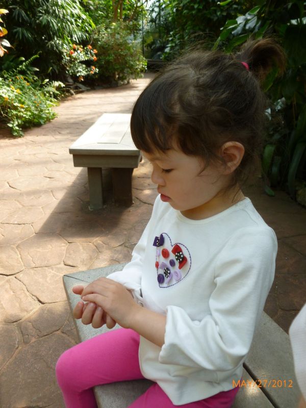 P1020001.jpg