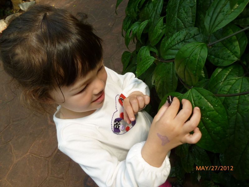 P1020006.jpg