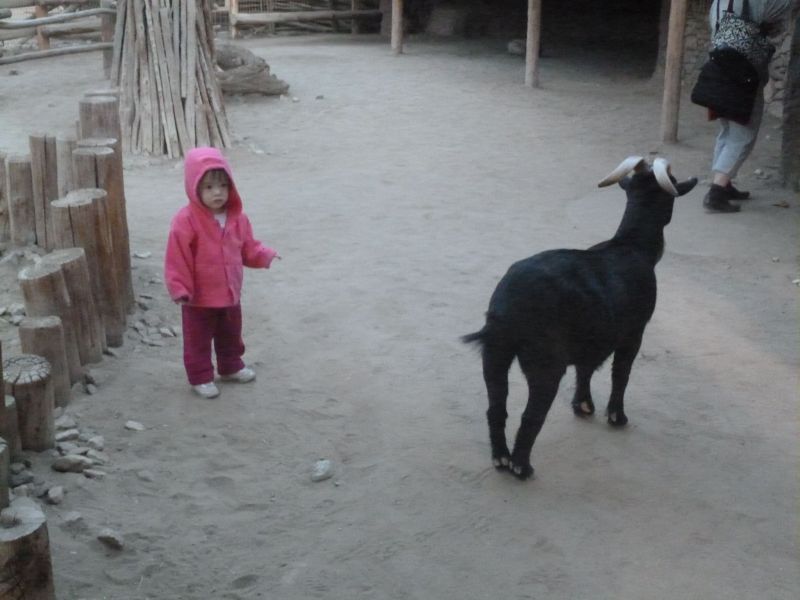 P1000199.JPG