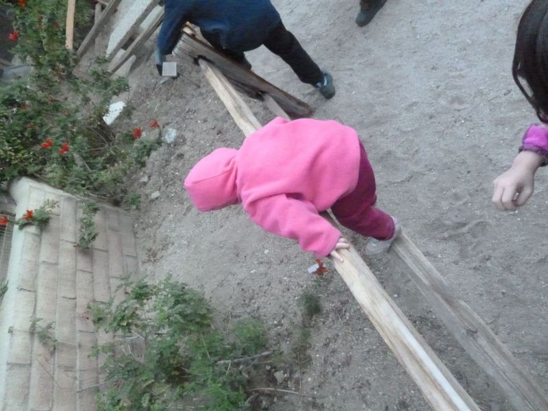 P1000209.JPG