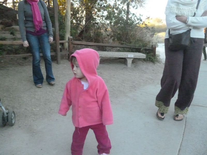 P1000214.JPG