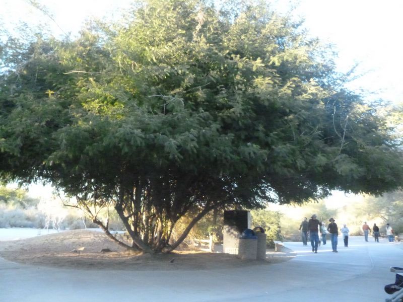 P1000216.JPG