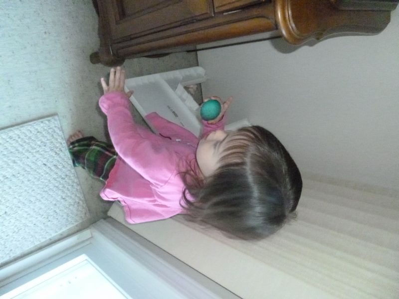P1000362.JPG