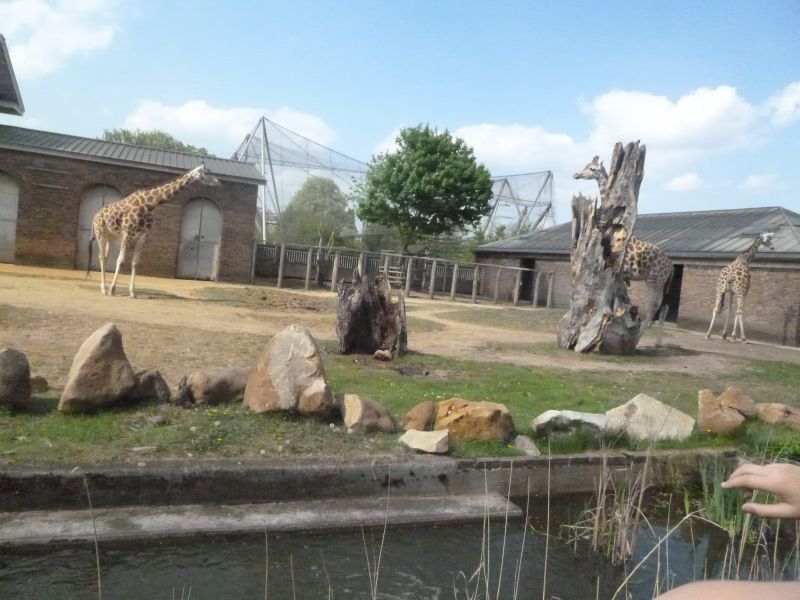P1000434.JPG