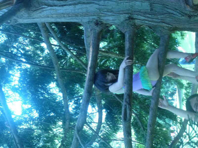 P1000730.JPG