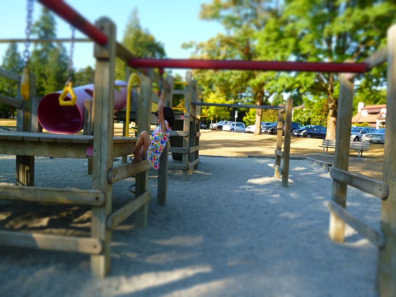 P1010081.JPG