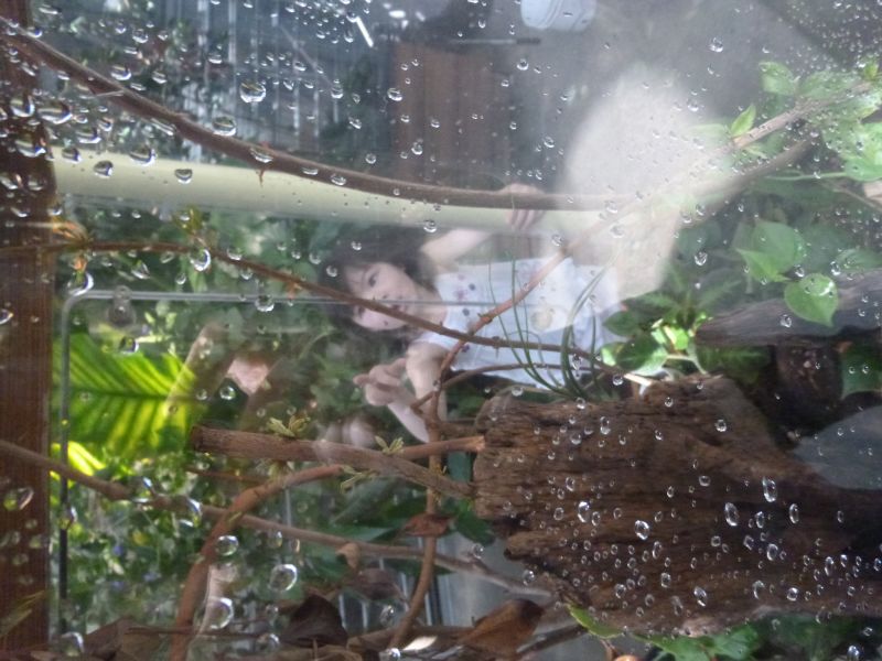 P1010916.JPG