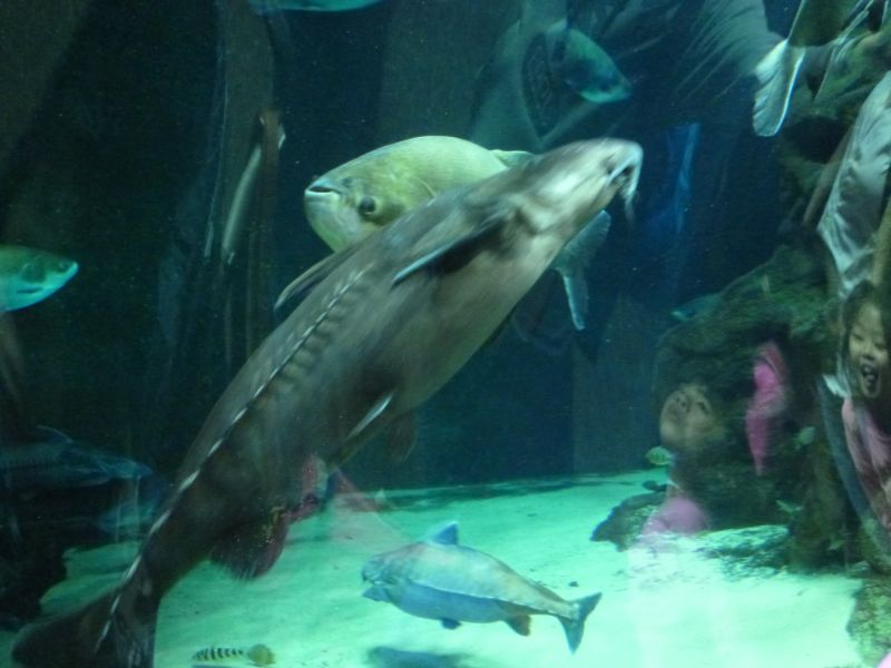 P1010925.JPG