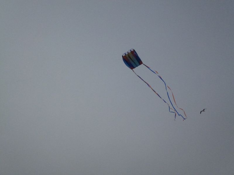P1020005.JPG