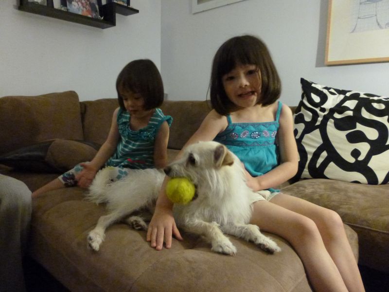 P1020013.JPG