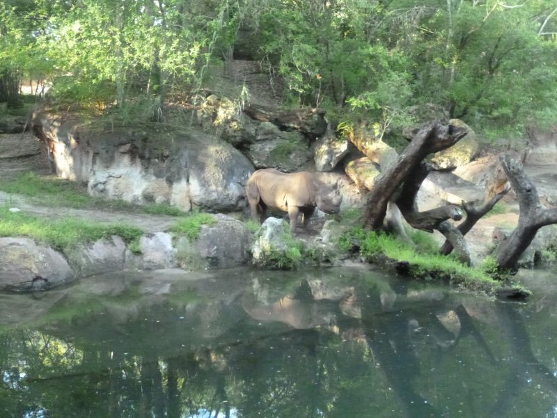 P1030055.JPG
