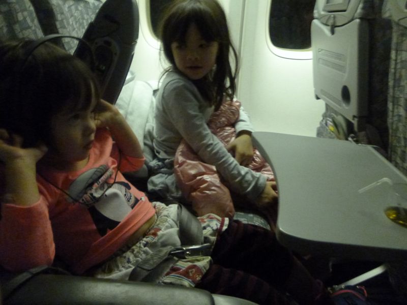 P1030393.JPG
