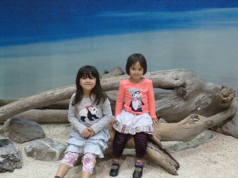 P1030397.JPG