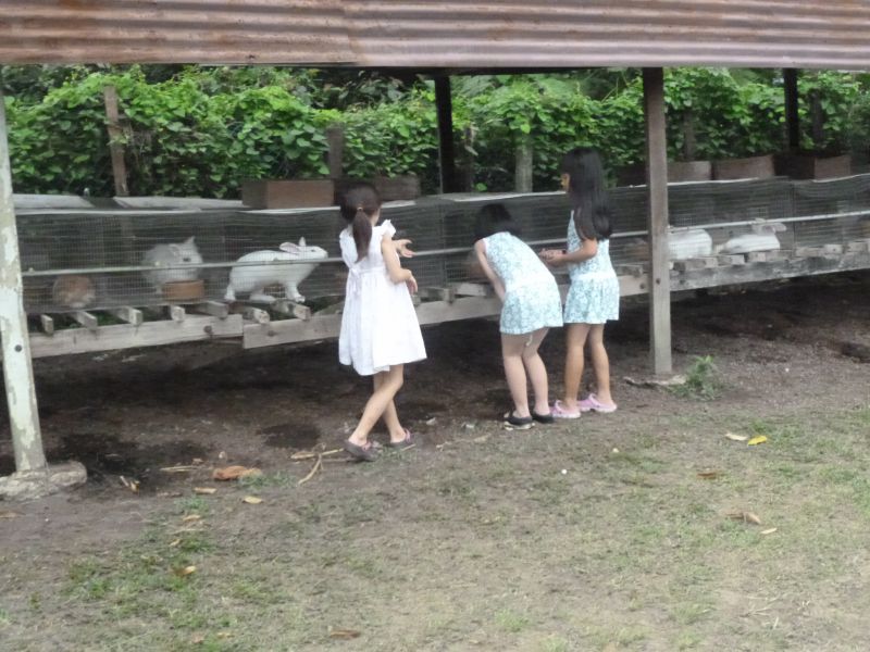 P1030443.JPG