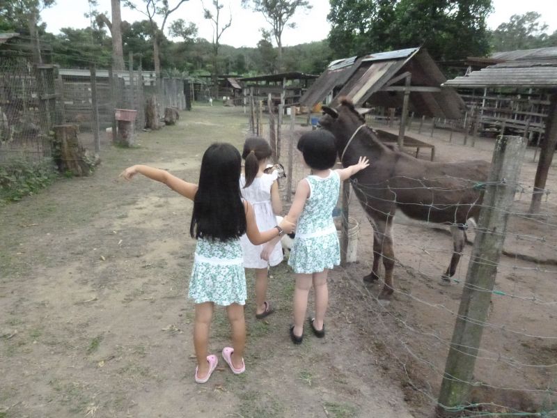 P1030451.JPG