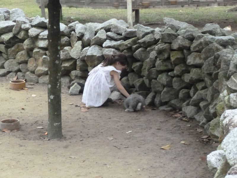 P1030453.JPG