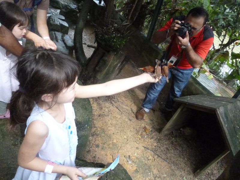 P1030480.JPG