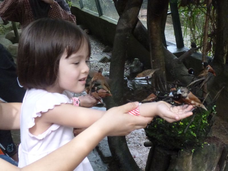 P1030484.JPG