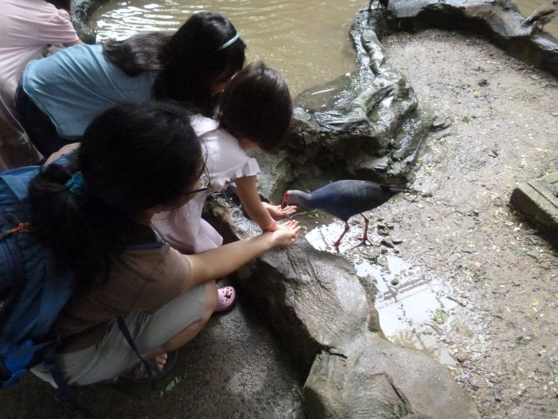 P1030488.JPG