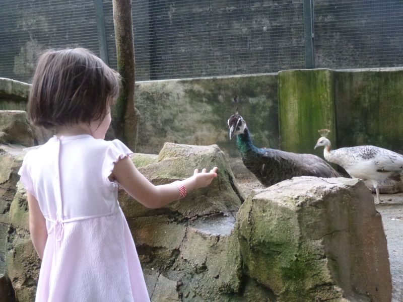 P1030499.JPG