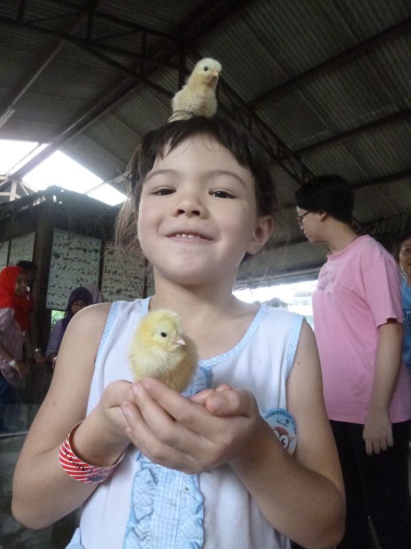 P1030505.JPG