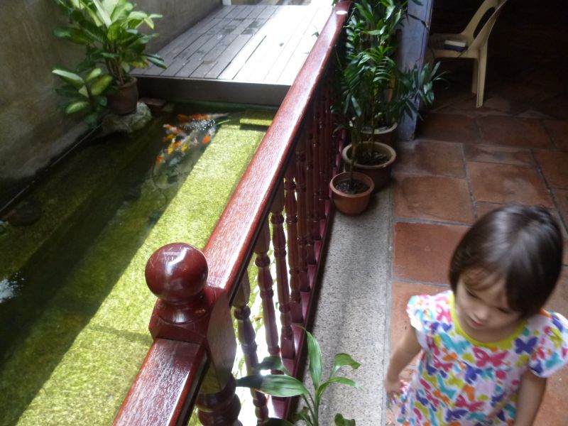 P1030585.JPG