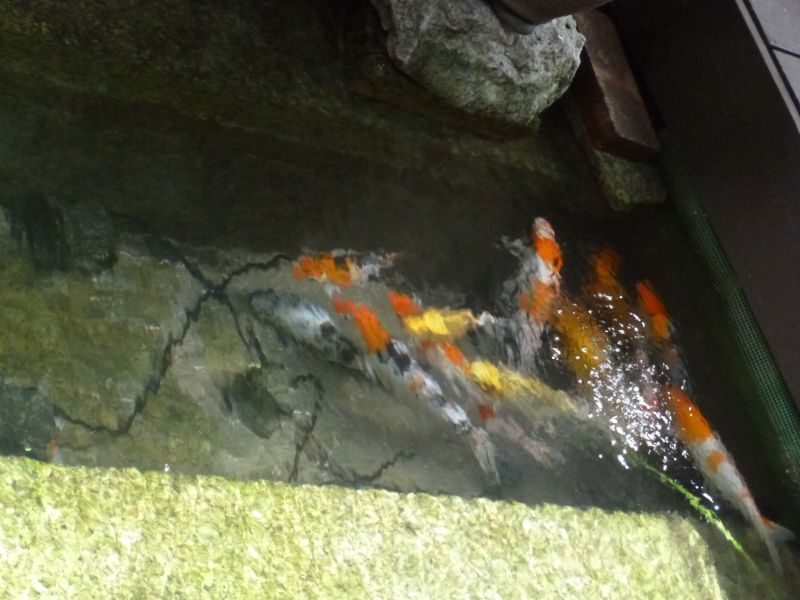 P1030586.JPG