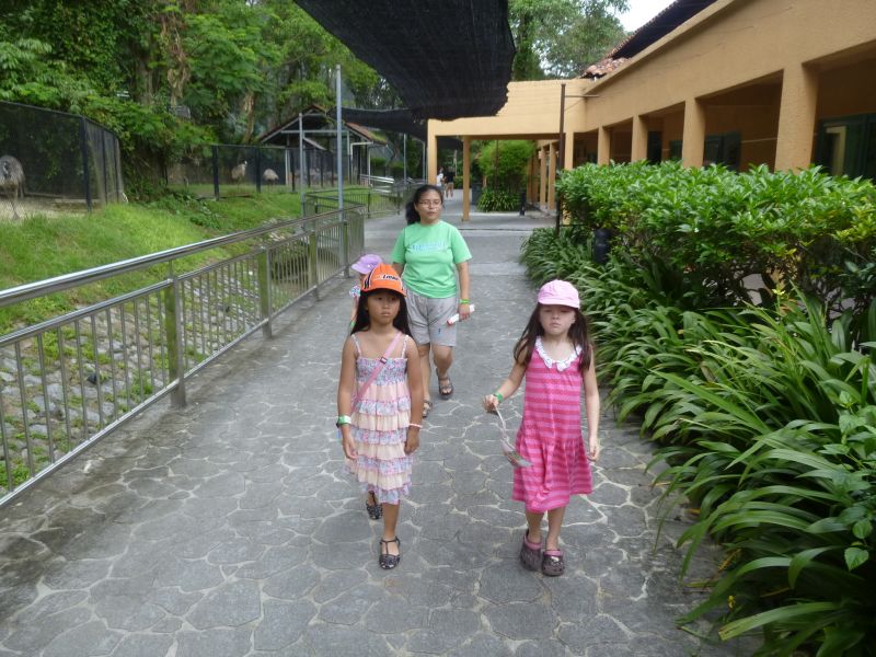 P1030727.JPG