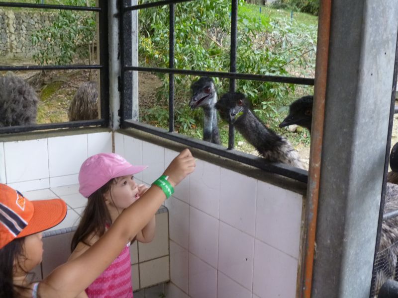 P1030734.JPG