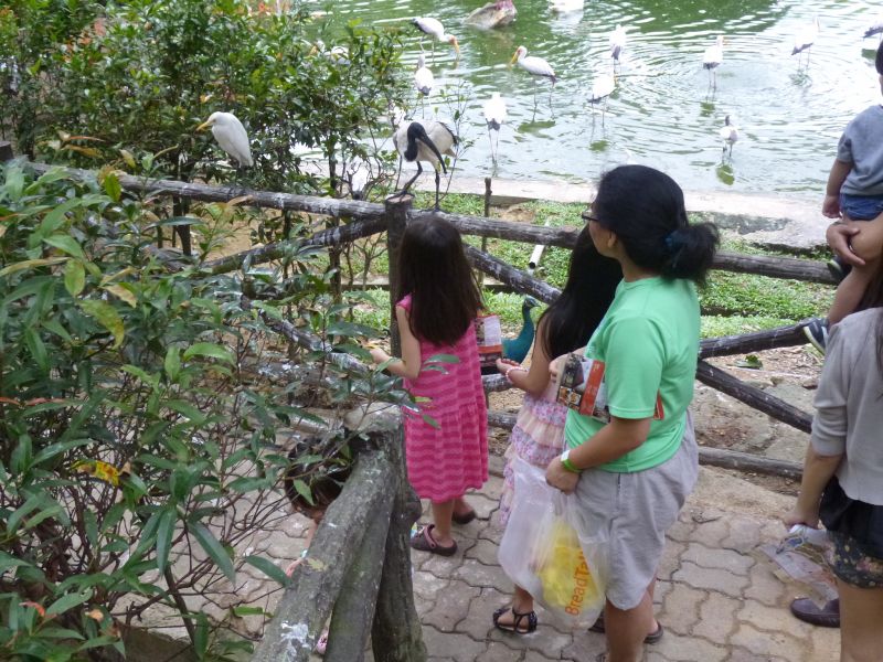 P1030746.JPG
