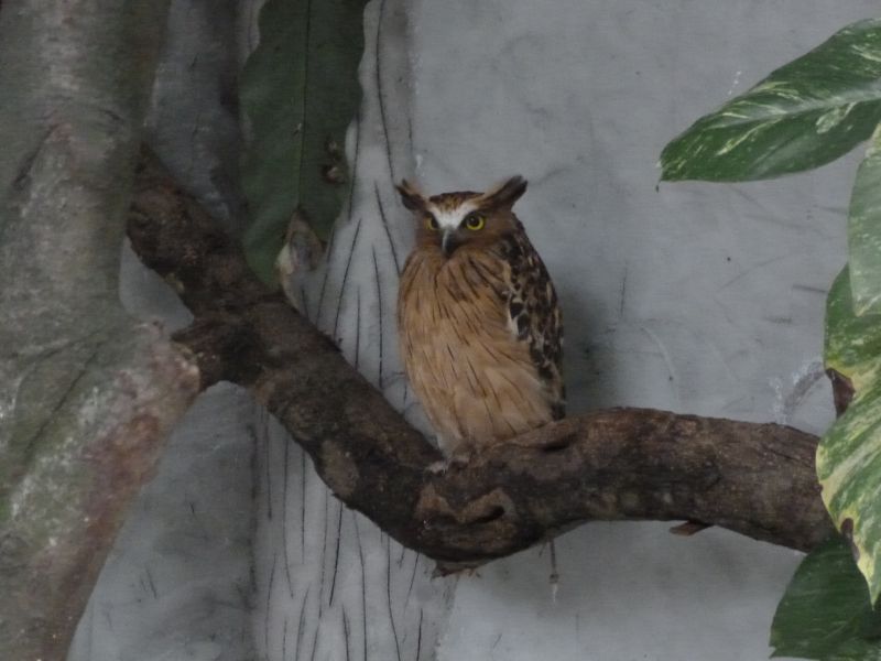 P1030751.JPG