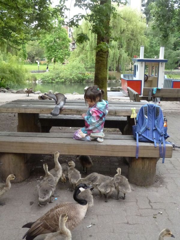 P1030945.JPG