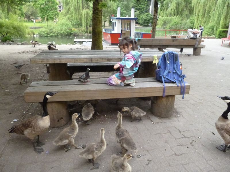 P1030947.JPG