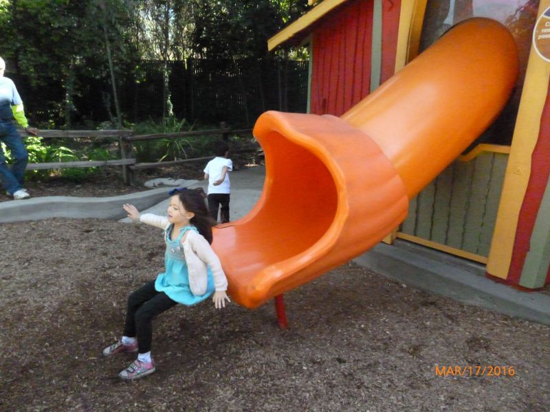 P1050264.JPG