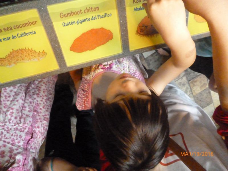 P1050381.JPG