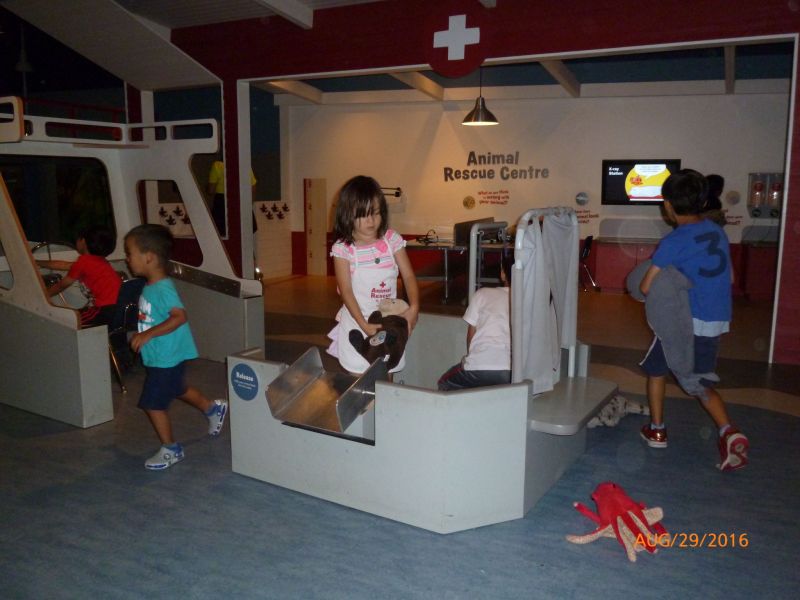 P1050913.JPG