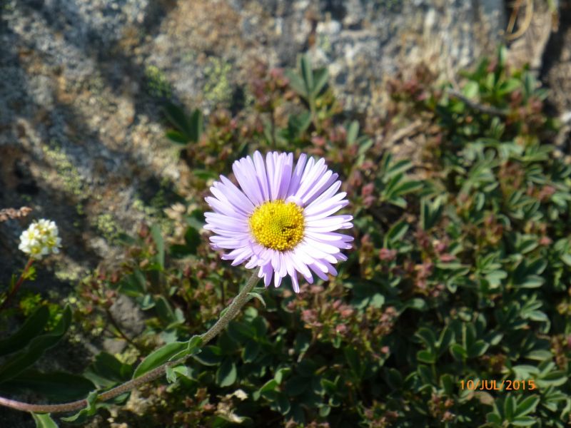 P1080079.JPG