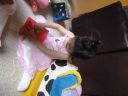 P1000616.JPG