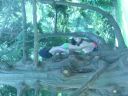 P1000710.JPG