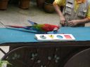 Filename=P1030724.JPG
Filesize=2386KiB
Dimensions=2048x1536
Date added=Jul 30, 2015 P1030724.JPG