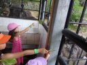Filename=P1030729.JPG
Filesize=2437KiB
Dimensions=2048x1536
Date added=Jul 30, 2015 P1030729.JPG