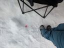 PXL_20260216_173513690_MP~0.jpg
