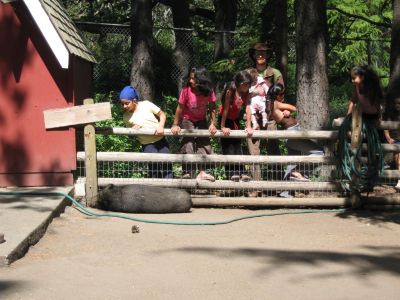 IMG_0153.jpg