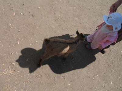 IMG_0158.jpg