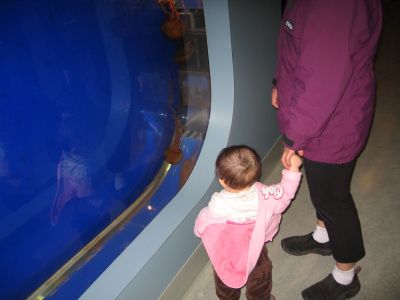 IMG_0208.jpg