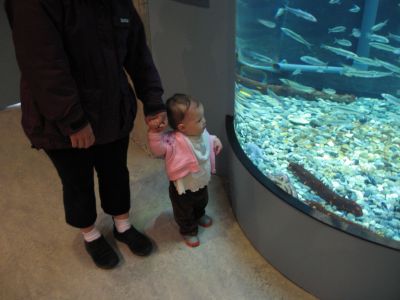 IMG_0209.jpg