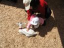 IMG_0167.jpg