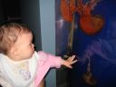 IMG_0207.jpg
