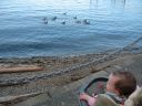 IMG_0227.jpg